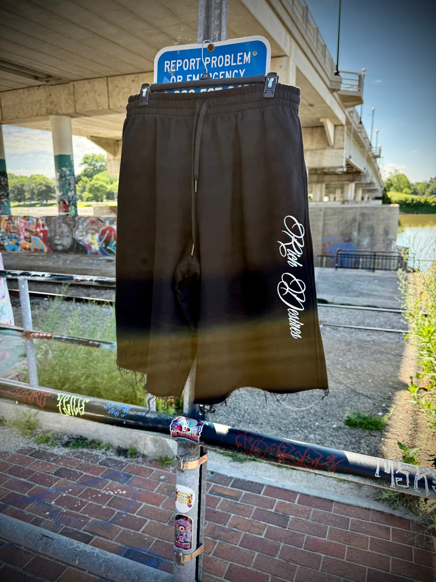 Embroidered Shorts